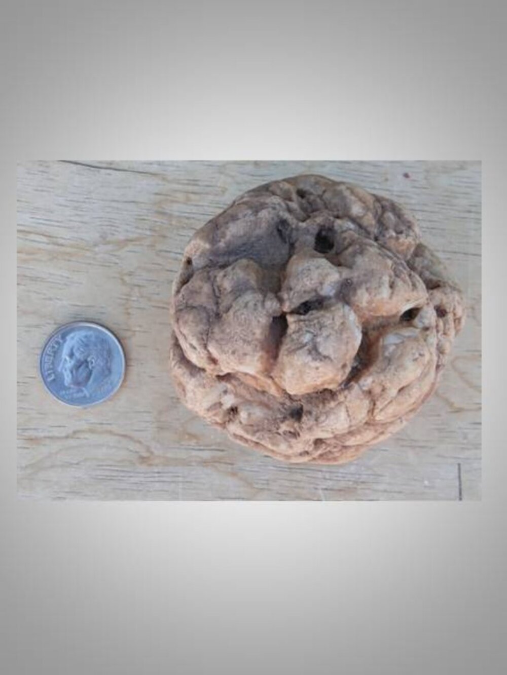 pinecone shaped rock stone - Picture 5 of 5